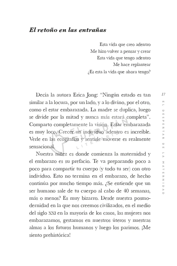 El despertar de la maternidad — Renace, reconoce y revoluciona tu experiencia materna - Image 3