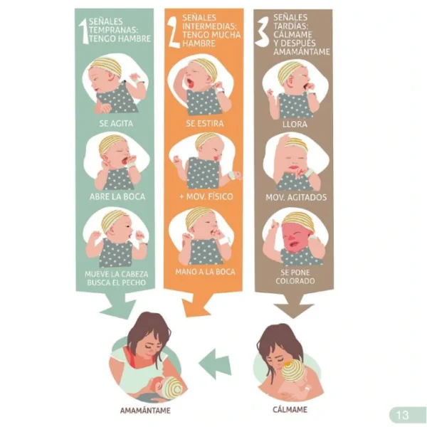 Guía para las madres que amamantan - Image 4